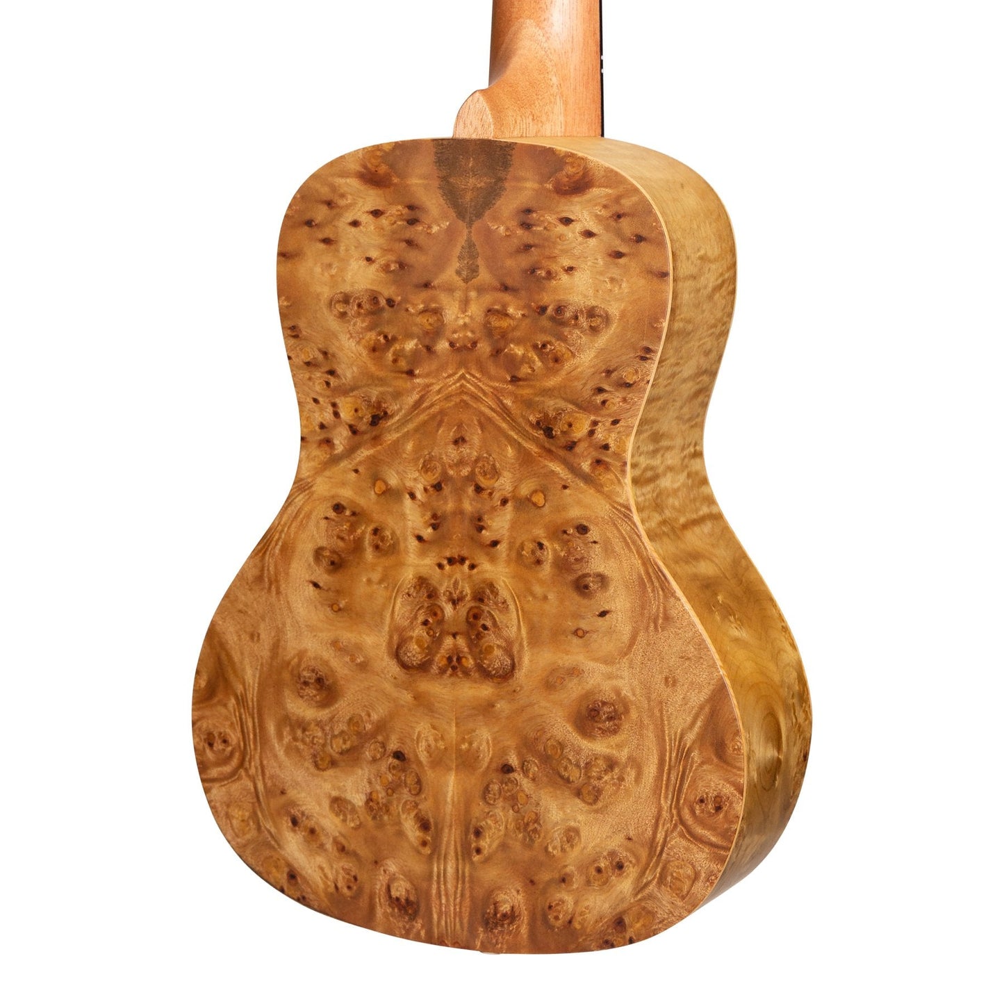 Mojo 'Traditional Series' Solid Birdseye Maple Top Cutaway Concert Ukulele with Gig Bag (Natural Satin)