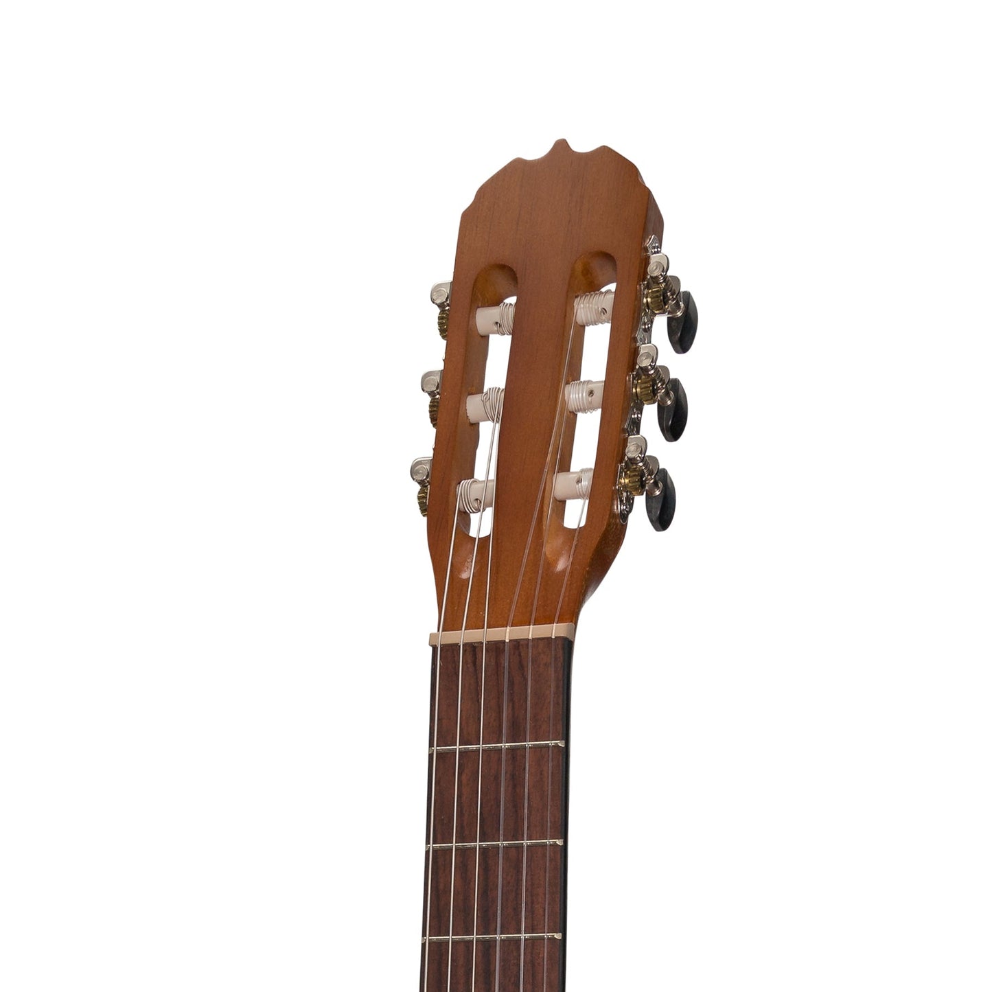 Sanchez Full-size Size Student Classical Guitar with Gig Bag (Acacia)