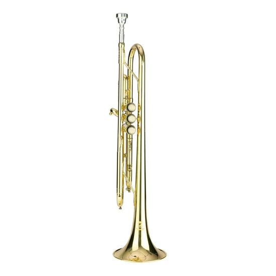 Steinhoff Advanced Student Bb Trumpet (Gold)