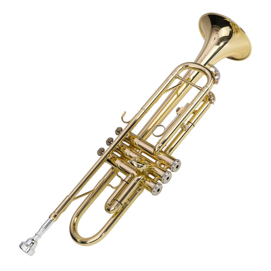 Steinhoff Advanced Student Bb Trumpet (Gold)