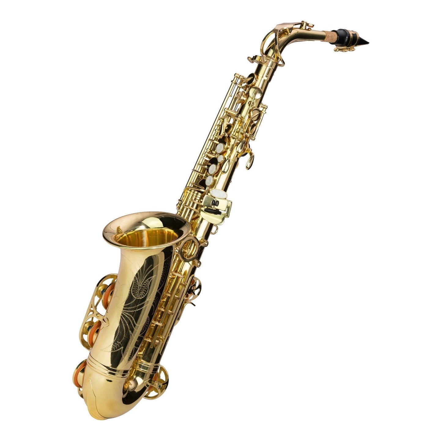 Steinhoff Intermediate Alto Saxophone (Gold)