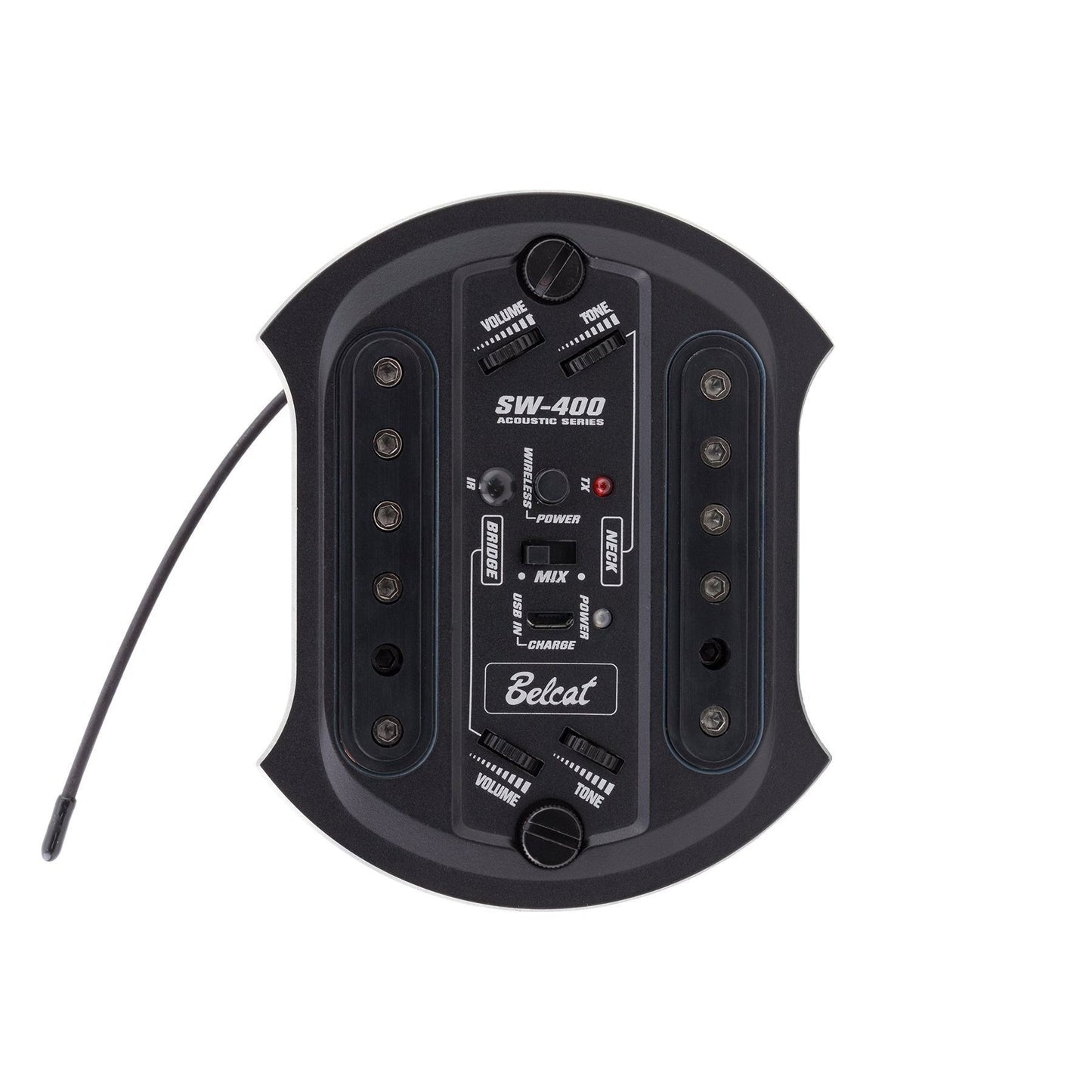Sound hole best sale pick up