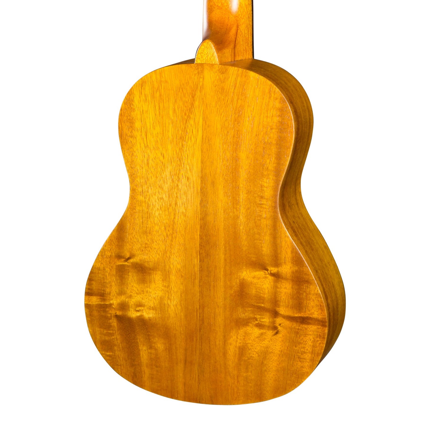 Mojo SA30 Spruce and Acacia Electric Concert Ukulele (Natural Satin)