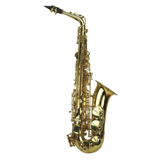 Steinhoff Student Alto Saxophone (Gold)