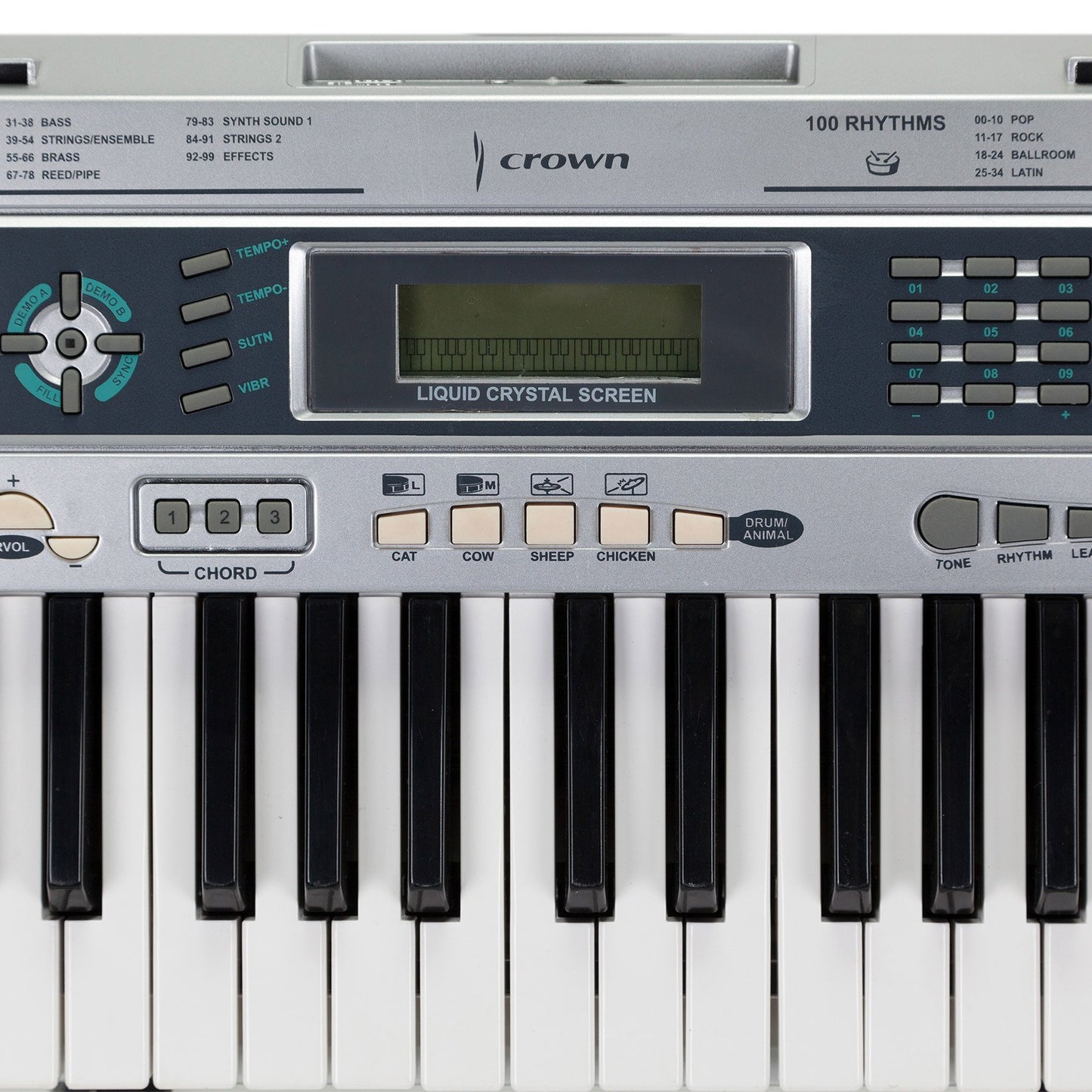 Crown 49 Note Portable Electronic Keyboard with Teaching Function