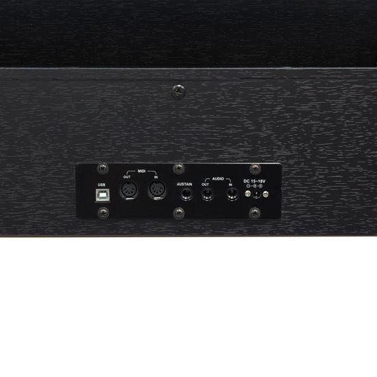 Crown 88-Key Hammer Action Compact Digital Piano (Black)