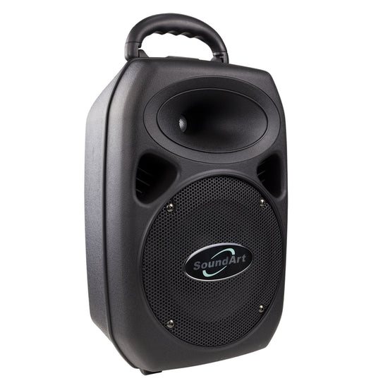 SoundArt 30 Watt Ultra Compact Multi-Purpose Amplifier
